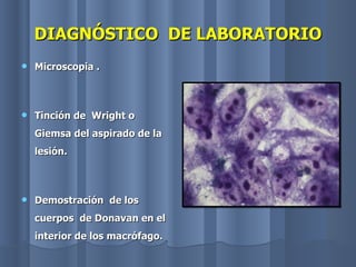 DIAGNÓSTICO  DE LABORATORIO Microscopia . Tinción de  Wright o Giemsa del aspirado de la lesión. Demostración  de los cuerpos  de Donavan en el interior de los macrófago. 