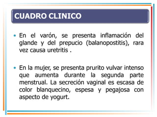 En el varón, se presenta inflamación del glande y del prepucio (balanopostitis), rara vez causa uretritis . En la mujer, se presenta prurito vulvar intenso que aumenta durante la segunda parte menstrual. La secreción vaginal es escasa de color blanquecino, espesa y pegajosa con aspecto de yogurt. 