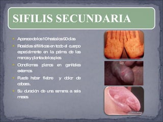 Aparece de los 10 hasta los 90 días Roséolas sífiliticas en todo el cuerpo especialmente en la palma de las manos y planta de los pies. Condilomas planos en genitales externos. Puede haber fiebre  y dolor de cabeza . Su duración de una semana a seis meses. SIFILIS SECUNDARIA 