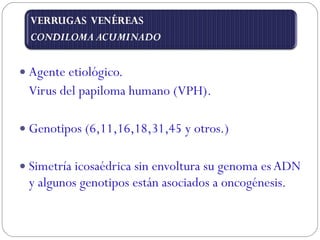 Agente etiológico. Virus del papiloma humano (VPH). Genotipos (6,11,16,18,31,45 y otros.) Simetría icosaédrica sin envoltura su genoma es ADN y algunos genotipos están asociados a oncogénesis. 