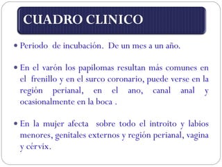 Periodo  de incubación.  De un mes a un año. En el varón los papilomas resultan más comunes en el  frenillo y en el surco coronario, puede verse en la región perianal, en el ano, canal anal y ocasionalmente en la boca . En la mujer afecta  sobre todo el introito y labios menores, genitales externos y región perianal, vagina y cérvix. 