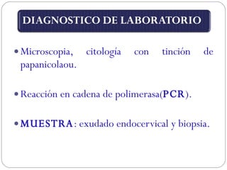 Microscopia, citología con tinción de papanicolaou. Reacción en cadena de polimerasa( PCR ). MUESTRA : exudado endocervical y biopsia. 