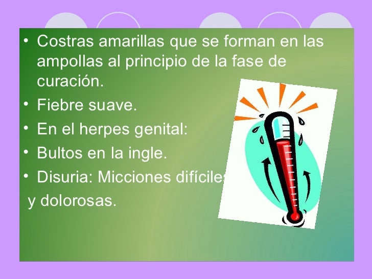 El olivo verde el medio que limpia para la persona