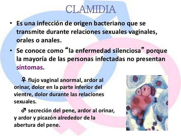 La crema para el aumento del miembro las revocaciones el foro