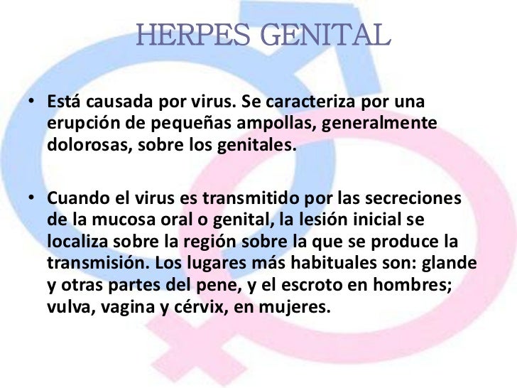 A mí el pequeño miembro e