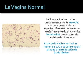 La flora vaginal normal es predominantemente  Aerobia ,  con un promedio de seis especies diferentes de bacterias, la más frecuente de ellas son los  lactobacilos   productores de peróxido de hidrógeno. El pH de la vagina normal es menor de 4.5, y se conserva así gracias a la producción de ácido láctico.   