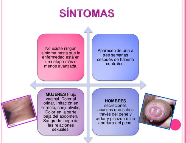 La operación del aumento del miembro hasta el embajador