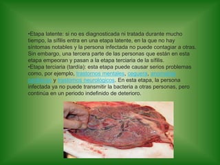 •Etapa latente: si no es diagnosticada ni tratada durante mucho
tiempo, la sífilis entra en una etapa latente, en la que no hay
síntomas notables y la persona infectada no puede contagiar a otras.
Sin embargo, una tercera parte de las personas que están en esta
etapa empeoran y pasan a la etapa terciaria de la sífilis.
•Etapa terciaria (tardía): esta etapa puede causar serios problemas
como, por ejemplo, trastornos mentales, ceguera, anomalías
cardíacas y trastornos neurológicos. En esta etapa, la persona
infectada ya no puede transmitir la bacteria a otras personas, pero
continúa en un periodo indefinido de deterioro.
 