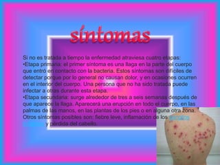 Si no es tratada a tiempo la enfermedad atraviesa cuatro etapas:
•Etapa primaria: el primer síntoma es una llaga en la parte del cuerpo
que entró en contacto con la bacteria. Estos síntomas son difíciles de
detectar porque por lo general no causan dolor, y en ocasiones ocurren
en el interior del cuerpo. Una persona que no ha sido tratada puede
infectar a otras durante esta etapa.
•Etapa secundaria: surge alrededor de tres a seis semanas después de
que aparece la llaga. Aparecerá una erupción en todo el cuerpo, en las
palmas de las manos, en las plantas de los pies o en alguna otra zona.
Otros síntomas posibles son: fiebre leve, inflamación de los ganglios
linfáticos y pérdida del cabello.
 