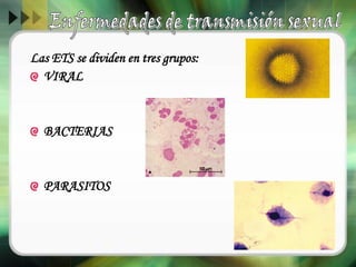 Las ETS se dividen en tres grupos:
VIRAL
BACTERIAS
PARASITOS
 