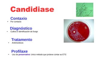 Candidiase
Contaxio
●
Por contacto
Diagnóstico
●
Cultivo e identificación do fungo
Tratamento
●
Antimicóticos
Profilaxe
●
Uso de preservativo: único método que protexe contar as ETS
 