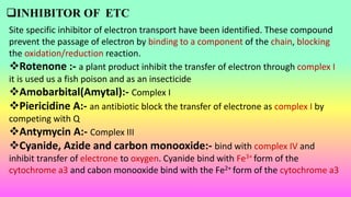 ETS.pptx Govt Nehru PG collage by SOMESH KUMAR | PPTX