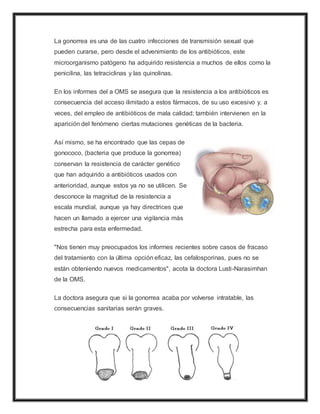 La gonorrea es una de las cuatro infecciones de transmisión sexual que
pueden curarse, pero desde el advenimiento de los antibióticos, este
microorganismo patógeno ha adquirido resistencia a muchos de ellos como la
penicilina, las tetraciclinas y las quinolinas.
En los informes del a OMS se asegura que la resistencia a los antibióticos es
consecuencia del acceso ilimitado a estos fármacos, de su uso excesivo y, a
veces, del empleo de antibióticos de mala calidad; también intervienen en la
aparición del fenómeno ciertas mutaciones genéticas de la bacteria.
Así mismo, se ha encontrado que las cepas de
gonococo, (bacteria que produce la gonorrea)
conservan la resistencia de carácter genético
que han adquirido a antibióticos usados con
anterioridad, aunque estos ya no se utilicen. Se
desconoce la magnitud de la resistencia a
escala mundial, aunque ya hay directrices que
hacen un llamado a ejercer una vigilancia más
estrecha para esta enfermedad.
"Nos tienen muy preocupados los informes recientes sobre casos de fracaso
del tratamiento con la última opción eficaz, las cefalosporinas, pues no se
están obteniendo nuevos medicamentos", acota la doctora Lusti-Narasimhan
de la OMS.
La doctora asegura que si la gonorrea acaba por volverse intratable, las
consecuencias sanitarias serán graves.
 