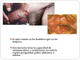  Es más común en los hombres que en las

mujeres.

 Esta bacteria tiene la capacidad de

autoinocularse y reinfectarse en toda la
región perigenital, pubis, abdomen o
muslos.

 