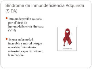 Síndrome de Inmundeficiencia Adquirida
(SIDA)
Inmunodepresión causada

por el Virus de
Inmunodeficiencia Humana
(VIH)

Es una enfermedad

incurable y mortal porque
no existe tratamiento
retroviral capaz de detener
la infección.

 