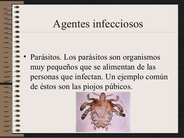 El mejor análisis a los parásitos