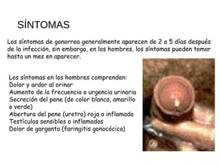 SÍNTOMAS
Los síntomas de gonorrea generalmente aparecen de 2 a 5 días después
de la infección, sin embargo, en los hombres, los síntomas pueden tomar
hasta un mes en aparecer.
Los síntomas en los hombres comprenden:
Dolor y ardor al orinar
Aumento de la frecuencia o urgencia urinaria
Secreción del pene (de color blanco, amarillo
o verde)
Abertura del pene (uretra) roja o inflamada
Testículos sensibles o inflamados
Dolor de garganta (faringitis gonocócica)
 