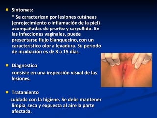 <ul><li>Síntomas: </li></ul><ul><li>* Se caracterizan por lesiones cutáneas (enrojecimiento o inflamación de la piel) acom...