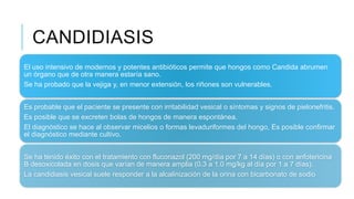 CANDIDIASIS
El uso intensivo de modernos y potentes antibióticos permite que hongos como Candida abrumen
un órgano que de otra manera estaría sano.
Se ha probado que la vejiga y, en menor extensión, los riñones son vulnerables.
Es probable que el paciente se presente con irritabilidad vesical o síntomas y signos de pielonefritis.
Es posible que se excreten bolas de hongos de manera espontánea.
El diagnóstico se hace al observar micelios o formas levaduriformes del hongo, Es posible confirmar
el diagnóstico mediante cultivo.
Se ha tenido éxito con el tratamiento con fluconazol (200 mg/día por 7 a 14 días) o con anfotericina
B desoxicolada en dosis que varían de manera amplia (0.3 a 1.0 mg/kg al día por 1 a 7 días).
La candidiasis vesical suele responder a la alcalinización de la orina con bicarbonato de sodio
 