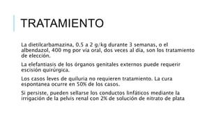 TRATAMIENTO
La dietilcarbamazina, 0.5 a 2 g/kg durante 3 semanas, o el
albendazol, 400 mg por vía oral, dos veces al día, son los tratamiento
de elección.
La elefantiasis de los órganos genitales externos puede requerir
escisión quirúrgica.
Los casos leves de quiluria no requieren tratamiento. La cura
espontanea ocurre en 50% de los casos.
Si persiste, pueden sellarse los conductos linfáticos mediante la
irrigación de la pelvis renal con 2% de solución de nitrato de plata
 