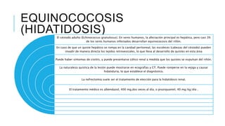 EQUINOCOCOSIS
(HIDATIDOSIS)El céstodo adulto (Echinococcus granulosus). En seres humanos, la afectación principal es hepática, pero casi 3%
de los seres humanos infectados desarrollan equinococosis del riñón.
En caso de que un quiste hepático se rompa en la cavidad peritoneal, las escoleces (cabezas del céstodo) pueden
invadir de manera directa los tejidos retrovesicales, lo que lleva al desarrollo de quistes en esta área
Puede haber síntomas de cistitis, y puede presentarse cólico renal a medida que los quistes se expulsan del riñón.
La naturaleza quística de la lesión puede mostrarse en ecografías y CT. Puede romperse en la vejiga y causar
hidatiduria, lo que establece el diagnóstico.
La nefrectomía suele ser el tratamiento de elección para la hidatidosis renal.
El tratamiento médico es albendazol, 400 mg,dos veces al día, o praziquantel, 40 mg/kg/día .
 