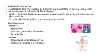 Análisis de laboratorio
 Exploración bajo microscopio de tinciones Gram uretrales en busca de diplococos
gramnegativos y cultivo de N. Gonorrhoeae.
 Análisis de amplificación de acido nucleico para ambos agentes en la primera orina
de la mañana
 Si no se dispone de análisis tratar de manera empírica
Complicaciones
 Hombres
 Epididimitis
 Infección gonocócica diseminada
 Sx de Reiter
 Mujeres
 Enfermedad inflamatoria pélvica
 Embarazo ectópico e infertilidad
 