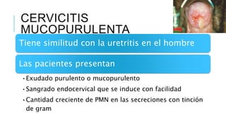 CERVICITIS
MUCOPURULENTA
Tiene similitud con la uretritis en el hombre
Las pacientes presentan
•Exudado purulento o mucopurulento
•Sangrado endocervical que se induce con facilidad
•Cantidad creciente de PMN en las secreciones con tinción
de gram
 