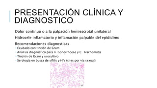 PRESENTACIÓN CLÍNICA Y
DIAGNOSTICO
Dolor continuo o a la palpación hemiescrotal unilateral
Hidrocele inflamatorio y inflamación palpable del epidídimo
Recomendaciones diagnosticas
 Exudado con tinción de Gram
 Análisis diagnostico para n. Gonorrhoeae y C. Trachomatis
 Tinción de Gram y urocultivo
 Serología en busca de sífilis y HIV (si es por vía sexual)
 