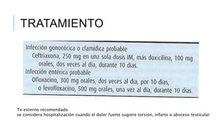 TRATAMIENTO
Tx externo recomendado
se considera hospitalización cuando el dolor fuerte sugiere torsión, infarto o absceso testicular
 