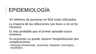 EPIDEMIOLOGÍA
45 millones de personas en EUA están infectados
La mayoría de las infecciones son leves o no se les
reconoce
Es mas probable que el primer episodio cause
síntomas
En ocasiones se puede requerir hospitalización por
complicaciones
 Infección diseminada, neumonía, hepatitis, meningitis,
encefalitis.
 