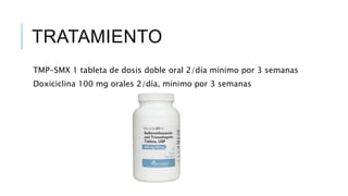 TRATAMIENTO
TMP-SMX 1 tableta de dosis doble oral 2/día mínimo por 3 semanas
Doxiciclina 100 mg orales 2/día, mínimo por 3 semanas
 