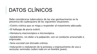 DATOS CLÍNICOS
Debe considerarse tuberculosis de las vías genitourinarias en la
presencia de cualesquiera de las siguientes situaciones:
Cistitis crónica que se niega a responder al tratamiento adecuado.
El hallazgo de piuria estéril.
Hematuria macroscópica o microscópica.
Epididimitis, sin dolor a la palpación, con un conducto arrosariado o
engrosado.
Seno escrotal con drenado crónico.
Induración o nodulación de la próstata y engrosamiento de una o
vesículas seminales (sobre todo en un hombre joven).
 