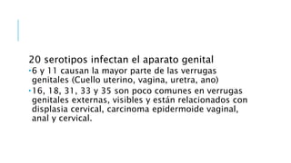 20 serotipos infectan el aparato genital
6 y 11 causan la mayor parte de las verrugas
genitales (Cuello uterino, vagina, uretra, ano)
16, 18, 31, 33 y 35 son poco comunes en verrugas
genitales externas, visibles y están relacionados con
displasia cervical, carcinoma epidermoide vaginal,
anal y cervical.
 