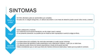 Riñón y
uréter
• El riñón afectado suele ser asintomático por completo.
• El paso de un coágulo sanguíneo, un cálculo secundario o una masa de desecho puede causar cólico renal y ureteral.
Vejiga
• Ardor, polaquiuria y nocturia.
• En ocasiones se encuentra hematuria y es de origen renal o vesical.
• Si se presenta ulceración, es posible que se observe dolor suprapúbico cuando la vejiga se llena.
Aparato
reproductor
• La tuberculosis de la próstata y las vesículas seminales no suele causar síntomas.
• La tuberculosis del epidídimo suele presentarse como inflamación indolora, o sólo con un dolor leve.
• Un absceso puede drenar de manera espontánea a través de la pared escrotal.
• Debe considerarse que un seno que drena de manera crónica es tuberculoso, hasta que se pruebe lo contrario.
SINTOMAS
 