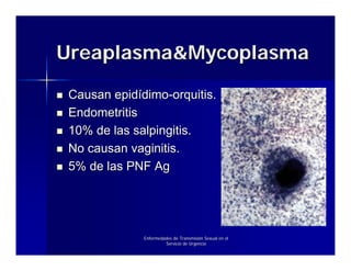 Ureaplasma&Mycoplasma

Causan epidídimo-orquitis.
Endometritis
10% de las salpingitis.
No causan vaginitis.
5% de las PNF Ag




             Enfermedades de Transmisión Sexual en el
                      Servicio de Urgencia
 