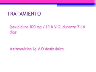 TRATAMIENTO Doxiciclina 100 mg / 12 h V.O. durante 7-14 dias Azitromicina 1g V.O dosis única 