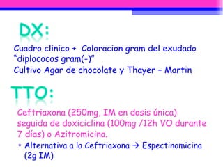 Ceftriaxona (250mg, IM en dosis única) seguida de doxiciclina (100mg /12h VO durante 7 días) o Azitromicina. Alternativa a la Ceftriaxona    Espectinomicina (2g IM) Cuadro clinico +  Coloracion gram del exudado “diplococos gram(-)”  Cultivo Agar de chocolate y Thayer – Martin 