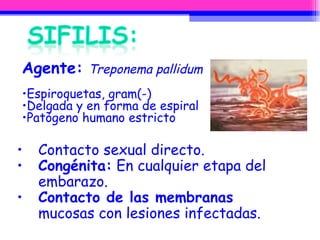 Agente:   Treponema pallidum Espiroquetas, gram(-) Delgada y en forma de espiral  Patógeno humano estricto  Contacto sexual directo.  Congénita:  En cualquier etapa del embarazo.  Contacto de las membranas  mucosas con lesiones infectadas. 