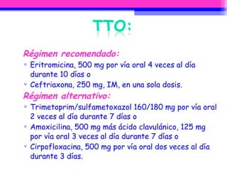 Régimen recomendado:   Eritromicina, 500 mg por vía oral 4 veces al día durante 10 días o  Ceftriaxona, 250 mg, IM, en una sola dosis.  Régimen alternativo:   Trimetoprim/sulfametoxazol 160/180 mg por vía oral 2 veces al día durante 7 días o  Amoxicilina, 500 mg más ácido clavulánico, 125 mg por vía oral 3 veces al día durante 7 días o  Cirpofloxacina, 500 mg por vía oral dos veces al día durante 3 días. 