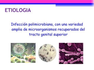Infección polimicrobiana, con una variedad amplia de microorganismos recuperados del tracto genital superior ETIOLOGIA 