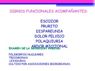 SIGNOS FUNCIONALES ACOMPAÑANTES: ESCOZOR PRURITO DISPAREUNIA DOLOR PELVICO POLAQUIURIA ARDOR MICCIONAL EXAMEN DE LA SECRECION VAGINAL POLIMORFOS NUCLEARES TRICOMONAS LEVADURAS CULTIVO POR ASOCIACIONES MICROBIANAS 