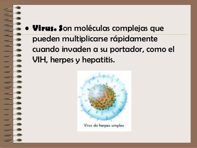 Los medios homeopáticos contra los parásitos