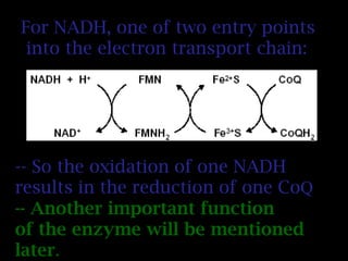 For NADH, one of two entry points
into the electron transport chain:
-- So the oxidation of one NADH
results in the reduction of one CoQ
-- Another important function
of the enzyme will be mentioned
later.
 