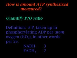 How is amount ATP synthesized
measured?
Quantify P/O ratio
Definition: # Pi taken up in
phosphorylating ADP per atom
oxygen (½O2), in other words
per 2e-.
NADH 3
FADH2 2
 