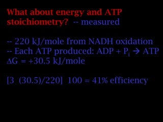 What about energy and ATP
stoichiometry? -- measured
-- 220 kJ/mole from NADH oxidation
-- Each ATP produced: ADP + Pi  ATP
G = +30.5 kJ/mole
[3 (30.5)/220] 100 = 41% efficiency
 