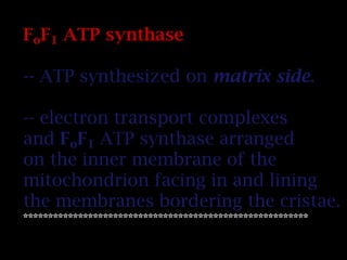 FoF1 ATP synthase
-- ATP synthesized on matrix side.
-- electron transport complexes
and FoF1 ATP synthase arranged
on the inner membrane of the
mitochondrion facing in and lining
the membranes bordering the cristae.
*********************************************************
 
