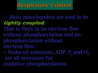 Respiratory Control
-- Most mitochondria are said to be
tightly coupled.
That is there is no electron flow
without phosphorylation and no
phosphorylation without
electron flow.
-- Reduced substrate, ADP, Pi and O2
are all necessary for
oxidative phosphorylation.
 