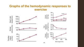Graphs of the hemodynamic responses to
exercise
 