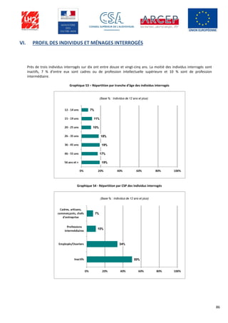86
VI. PROFIL DES INDIVIDUS ET MÉNAGES INTERROGÉS
Près de trois individus interrogés sur dix ont entre douze et vingt-cinq ans. La moitié des individus interrogés sont
inactifs, 7 % d’entre eux sont cadres ou de profession intellectuelle supérieure et 10 % sont de profession
intermédiaire.
Graphique 53 – Répartition par tranche d’âge des individus interrogés
Graphique 54 - Répartition par CSP des individus interrogés
 