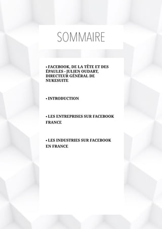 SOMMAIRE
• FACEBOOK, DE LA TÊTE ET DES
ÉPAULES - JULIEN OUDART,
DIRECTEUR GÉNÉRAL DE
NUKESUITE
• INTRODUCTION
• LES ENTREPRISES SUR FACEBOOK
FRANCE
• LES INDUSTRIES SUR FACEBOOK
EN FRANCE
 